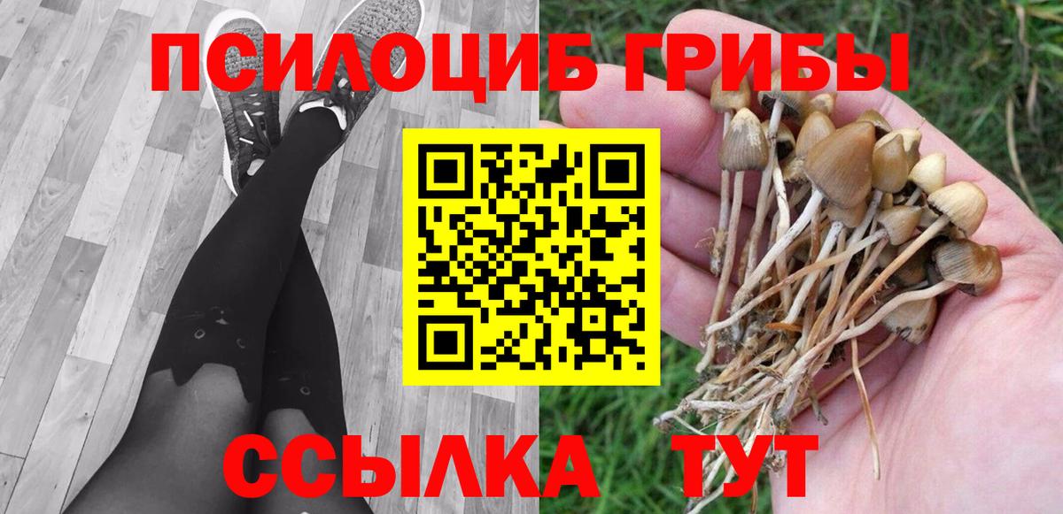 Галлюциногенные грибы мицелий Юрга